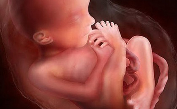 การเปลี่ยนแปลงกระดูกและโครงกระดูกของลูกน้อยในครรภ์